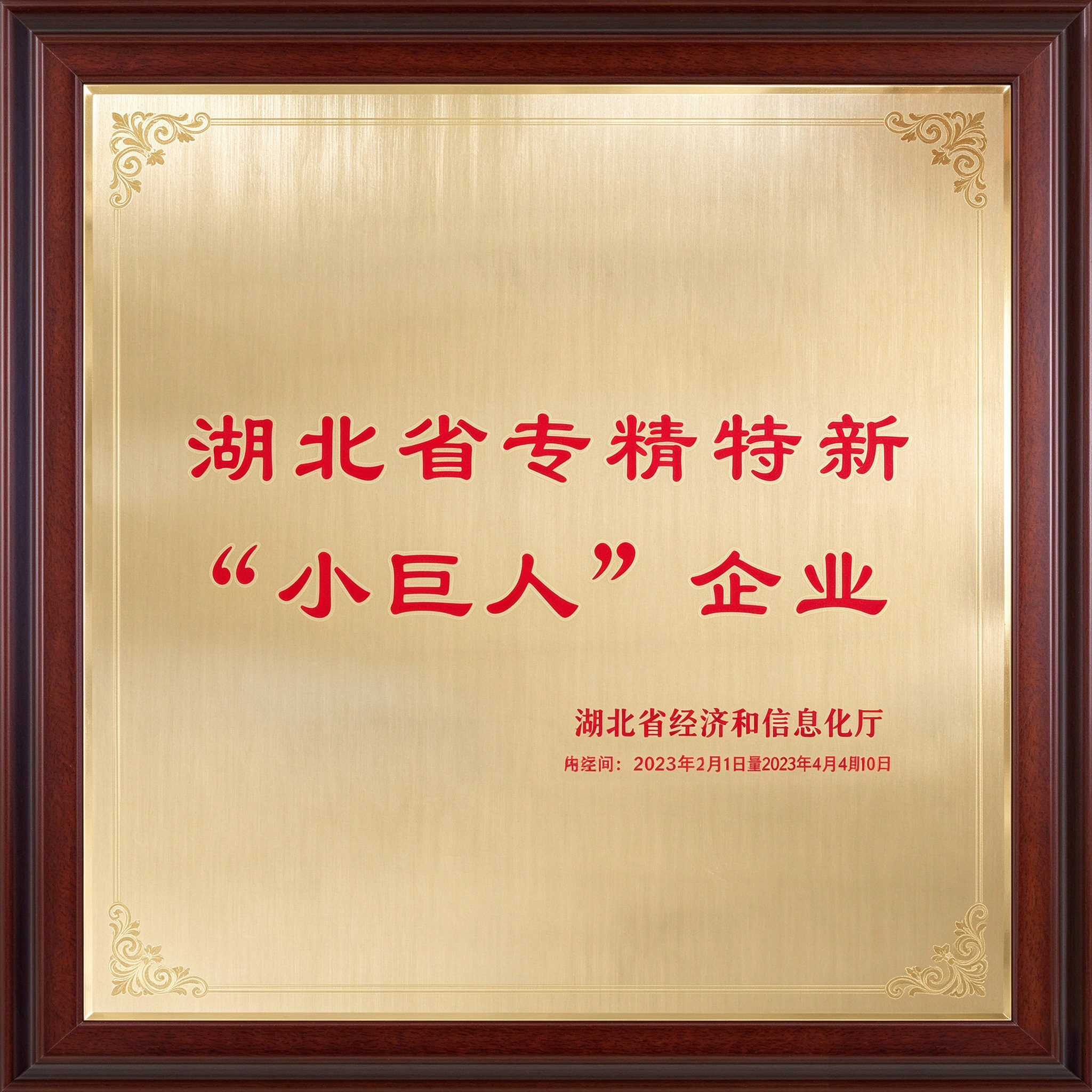 湖北省专精特新“小巨人”企业